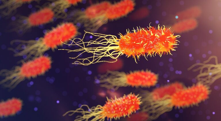 Antibiotico-Resistenza e la Prevenzione delle Infezioni da Batteri Multiresistenti